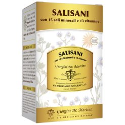 SALISANI POLVERE SOLUBILE 360G