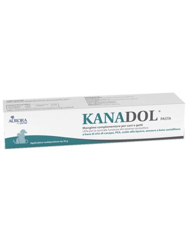 Kanadol pasta 30g
