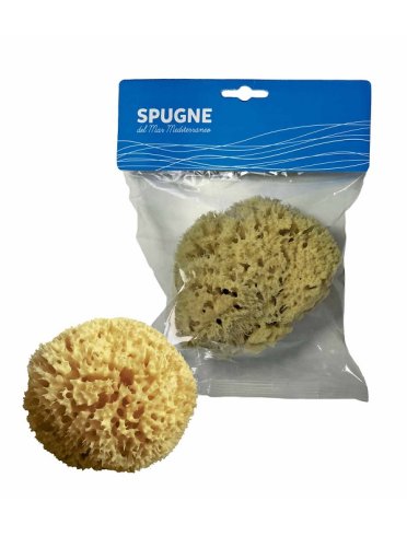 Spugna arcipelago med nat 10