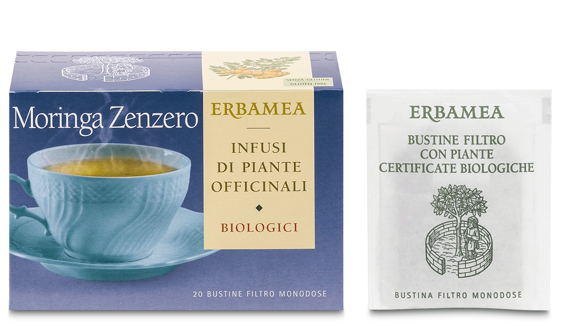 MORINGA ZENZERO BIOLOGICO 20 BUSTINE