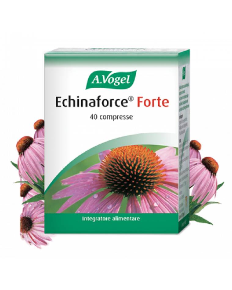AVOGEL ECHINAFORCE FORTE 40 COMPRESSE