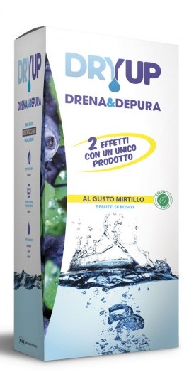 DRYUP MIRTILLO 300 ML