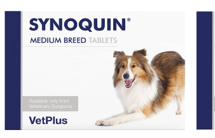 SYNOQUIN EFA M BREED 30CPR