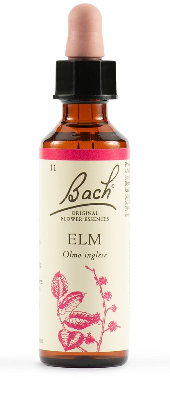 Fiori di Bach Original Olmo Inglese 20 ml