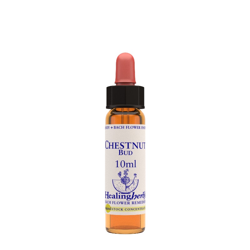 Fiori di Bach Healing Herbs Chestnut Bud Essenza 10 ml