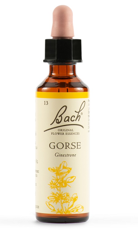 Fiori di Bach Original Ginestrone 20 ml