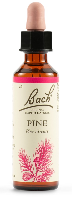 Fiori di Bach Original Pino Silvestre 20 ml
