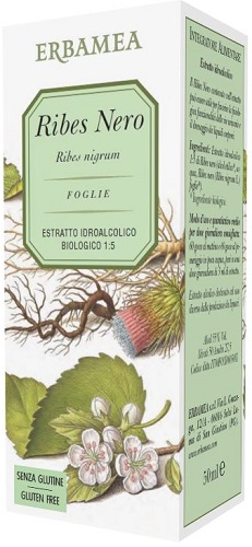 Ribes Nero Integratore Vie Urinarie 50 ml