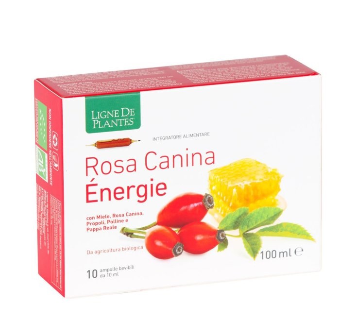 Rosa Canina Energie Integratore Ricostituente 10 Ampolle x 10 ml