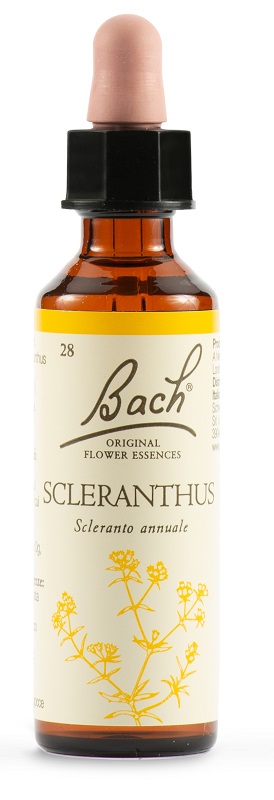 Fiori di Bach Original Scleranto Annuale 20 ml