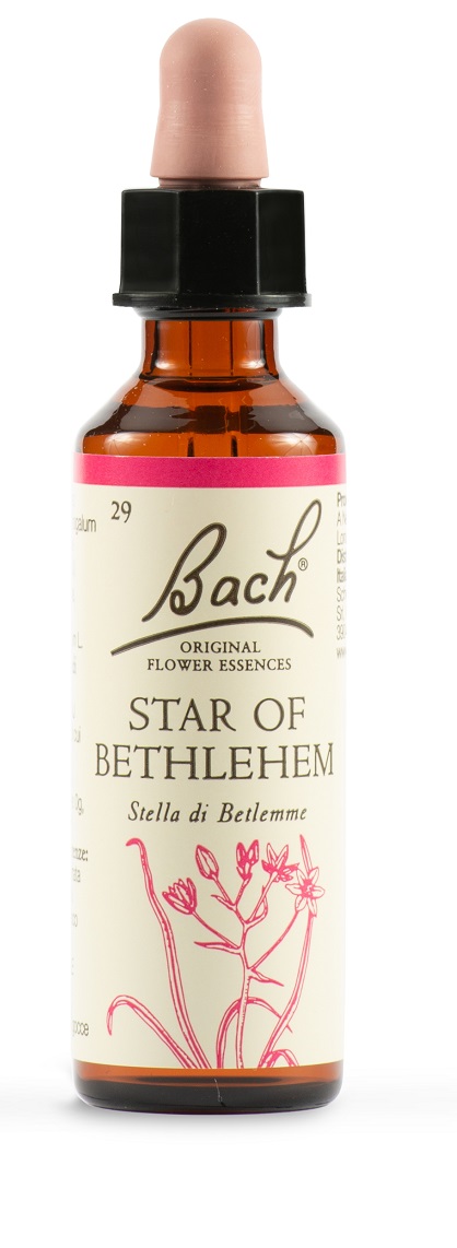 Fiori di Bach Original Stella di Betlemme 20 ml