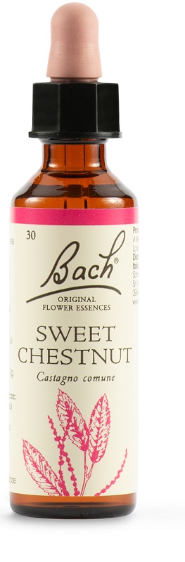 Fiori di Bach Original Castagno Comune 20 ml