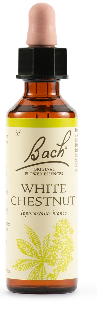 Fiori di Bach Original Ippocastano Bianco 20 ml