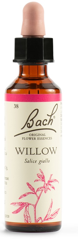 Fiori di Bach Original Salice Giallo 20 ml