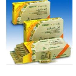 FISIOSOL PL MEDICAGO SAT 20F