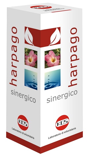 HARPAGO SINERGICO GOCCE 100 ML