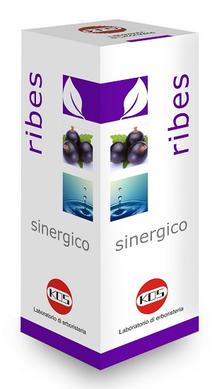 RIBES SINERGICO GOCCE 100 ML