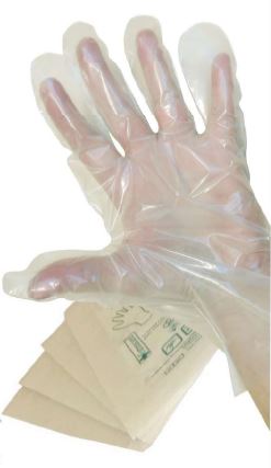 GUANTO IN POLIETILENE NON STERILE MISURA MEDIA. AMBIDESTRI,OMOGENEI, TRASPARENTI E PRIVI DI POLVERE LUBRIFICANTE. INDICATI PER USO OSTETRICO, GINECOLOGICO E UROLOGICO