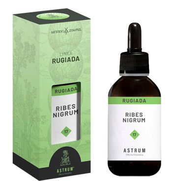 RIBES NERO 50ML (RUG.DI PIANTA