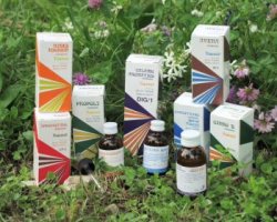 RAEMIL PROPOLI COMPOSTO 15 ML