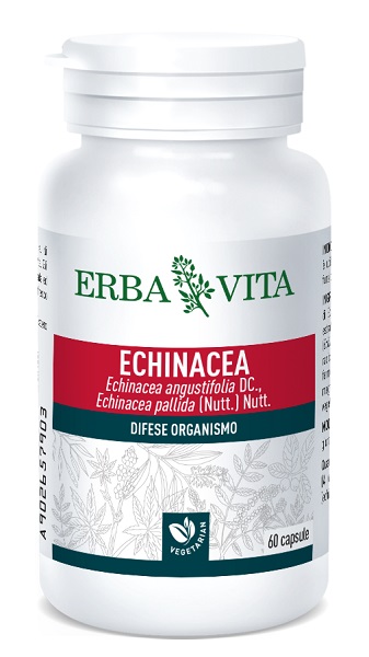 ECHINACEA 60 CAPSULE 500 MG