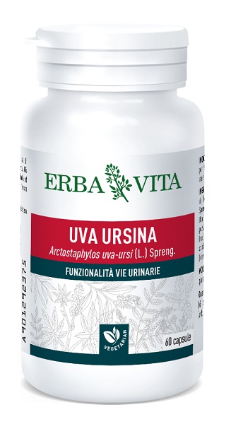 UVA URSINA 60 CAPSULE