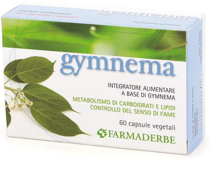 GYMNEMA 60 CAPSULE 34,2 G