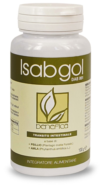 DAB 001 POLV ISABGOL 100G