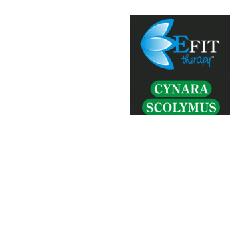 CYNARA SCOLYMUS ESTRATTO FLUIDO 30 ML