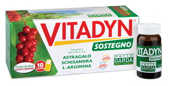 VITADYN SOSTEGNO 10 FLACONCINI 10 ML