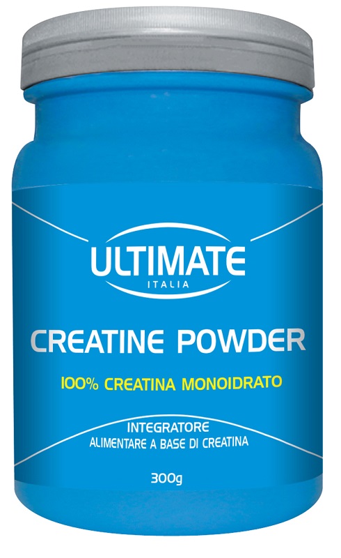 CREATINA POWDER 300 G 1 PEZZO