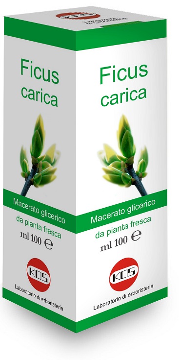 FICUS CARICA MG 100 ML GOCCE
