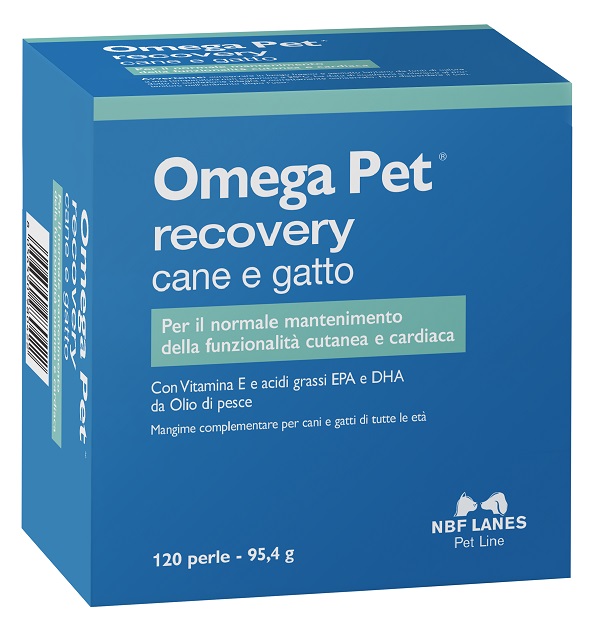 OMEGA PET RECOVERY 120PRL