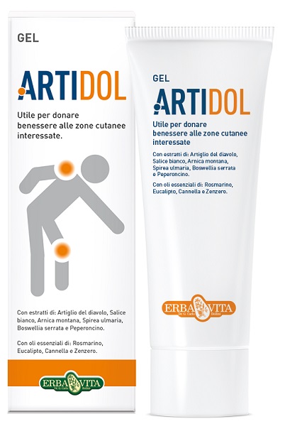 ARTIDOL GEL 100 ML