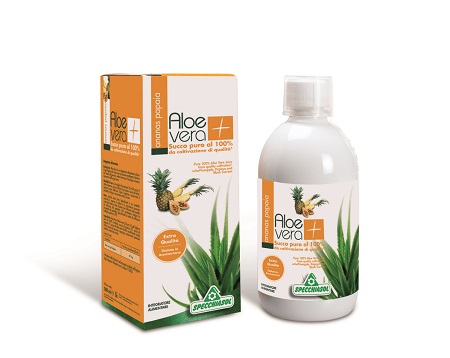 SUCCO ALOEVERA+ ANANAS/PAPAIA 1000 ML