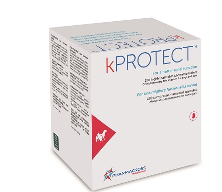 KPROTECT 120CPR MASTICABILI