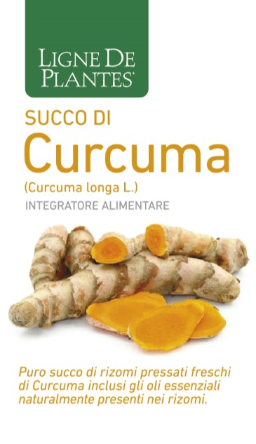 CURCUMA BIOLOGICO SUCCO 250 ML