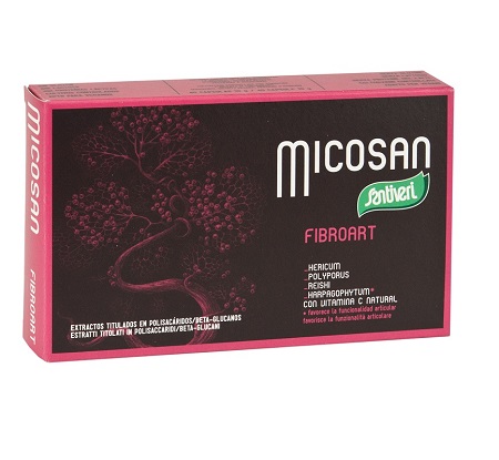 MICOSAN FIBROART 40 CAPSULE