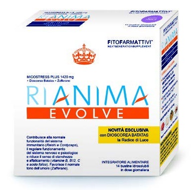 RIANIMA EVOLVE 14 BUSTINE