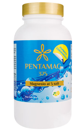PENTAMAG 375 280 G