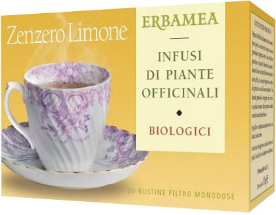 Zenzero Limone Tisana Biologica 20 Bustine