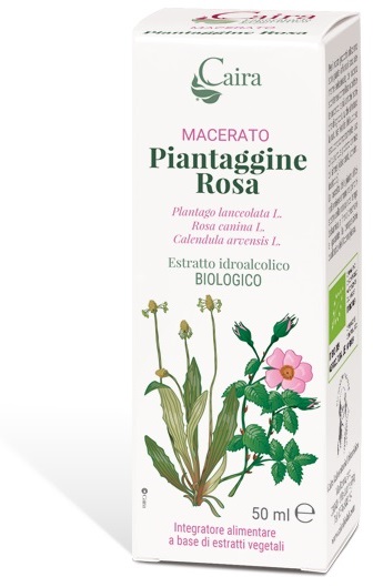 MACERATO PIANTAGG R BIO GTT