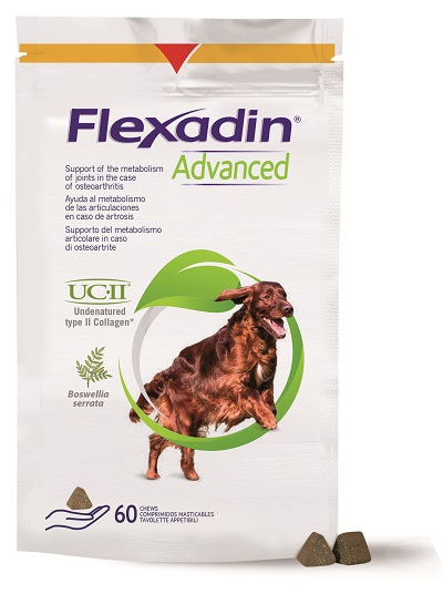 FLEXADIN ADVANCED CANE 60TAV M