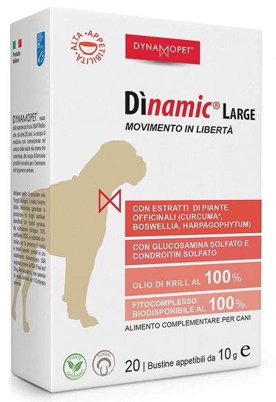 DINAMIC LARGE 20BUST 10G