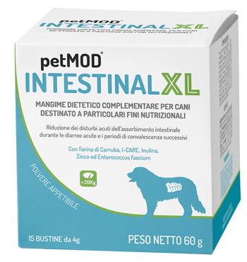 PETMOD INTESTINAL XL 15BUST