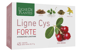 LIGNE CYS FORTE 45CPS NATURA S