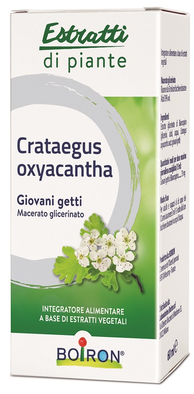 CRATAEGUS OXYACANTHA MACERATO GLICERICO 60 ML INT