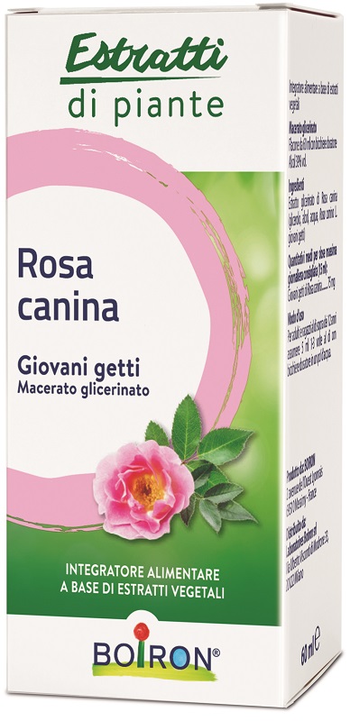 ROSA CANINA MACERATO GLICERICO 60 ML INT