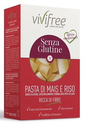 VIVIFREE PACCHERO MAIS/RISO FIB 250 G