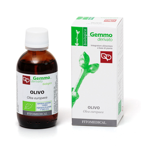 OLIVO MACERATO GLICERINATO BIO 50 ML
